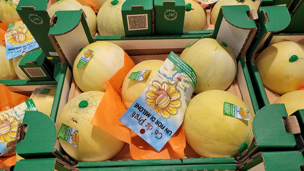 Melone liscio - Mantova - 1,20/1,40 euro al chilogrammo